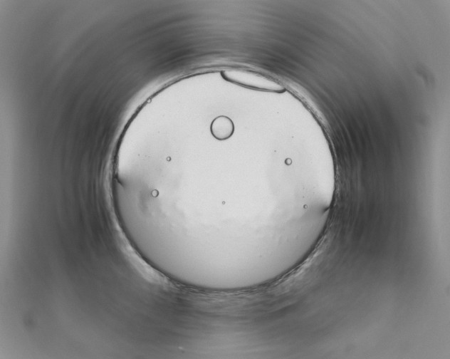 X0000110911098200907301536