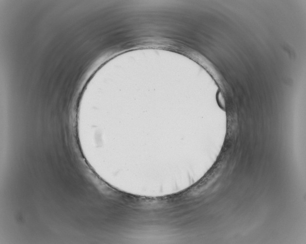 X0000110911099200907301536