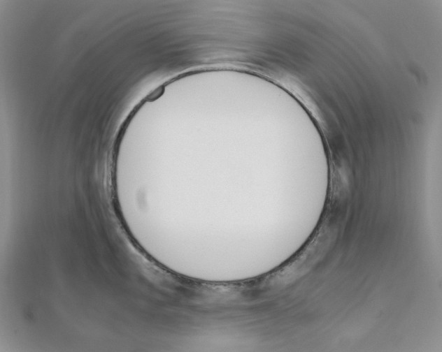 X0000110911101200907301536