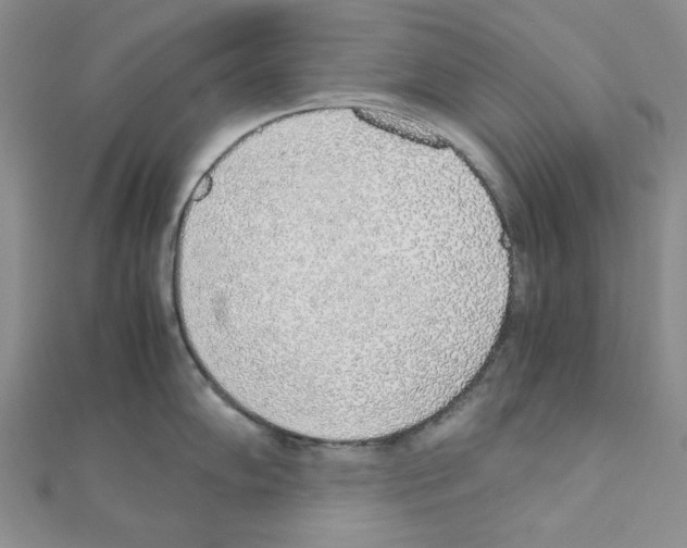 X0000110911102200907301536