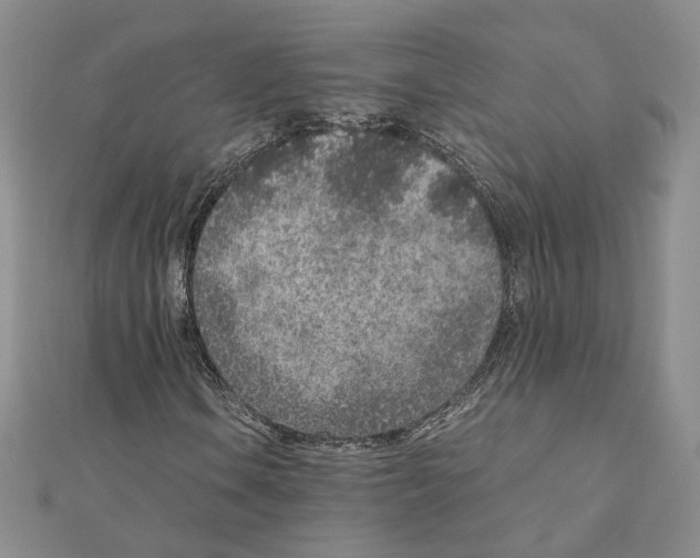 X0000110911106200907301535