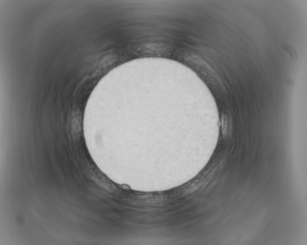 X0000110911107200907301535