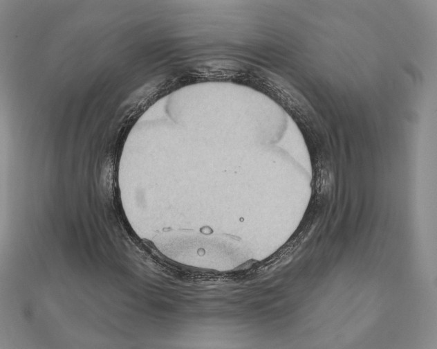 X0000110911108200907301535