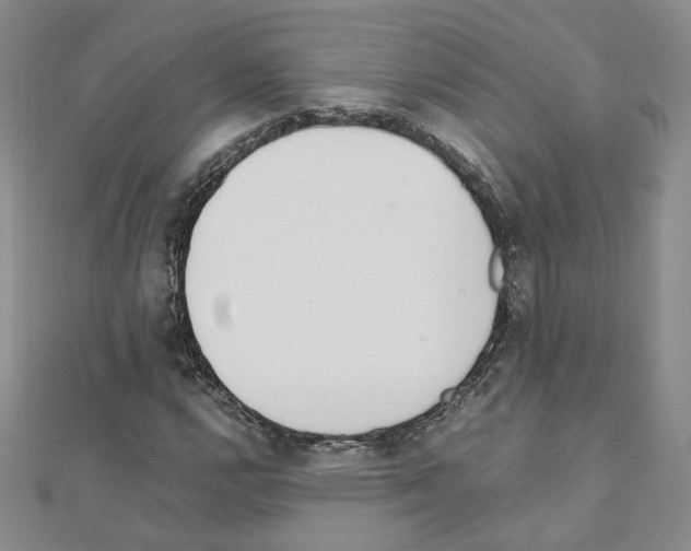 X0000110911112200907301535