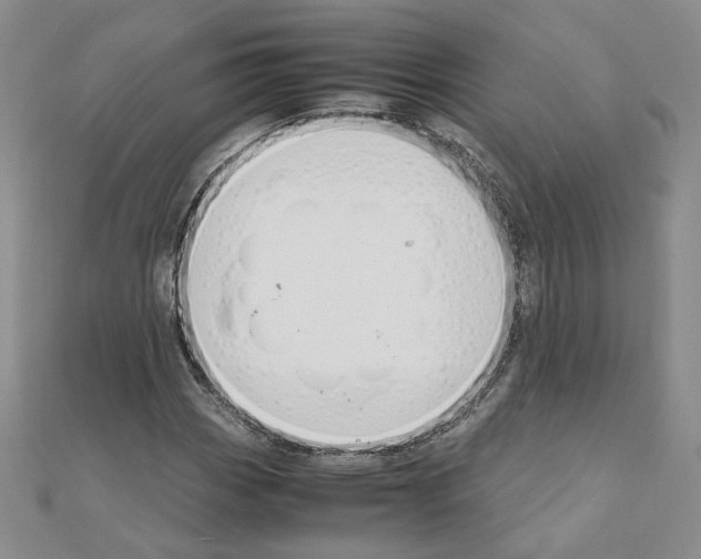 X0000110911113200907301535