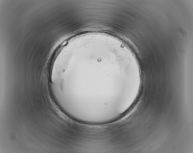 X0000110911114200907301535