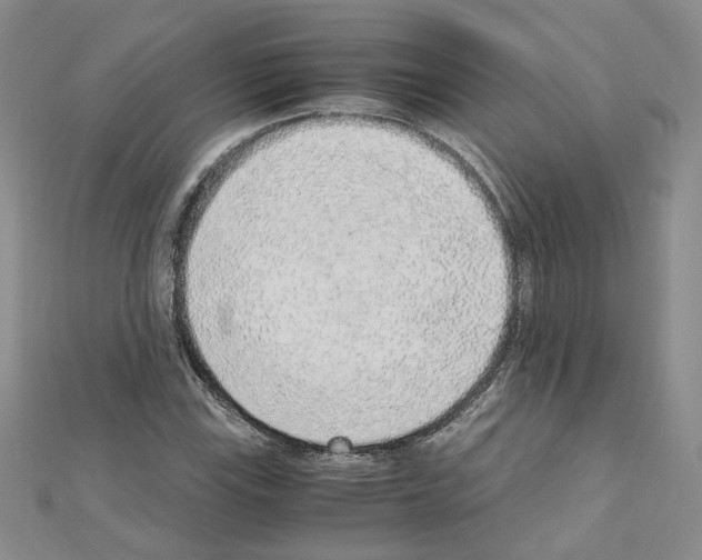 X0000110911115200907301536