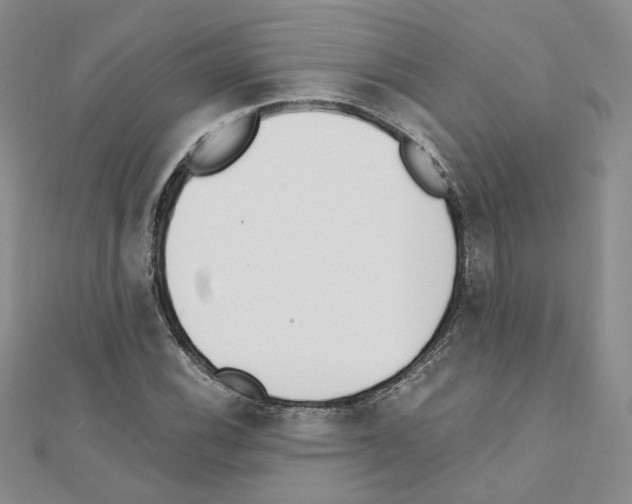 X0000110911116200907301536