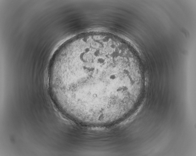 X0000110911117200907301536