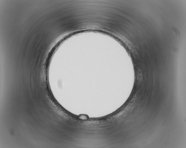 X0000110911118200907301536