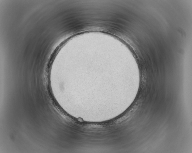 X0000110911119200907301536