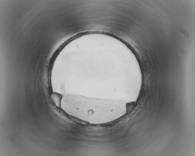 X0000110911120200907301536