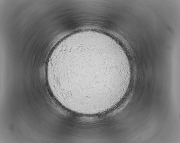 X0000110911121200907301536