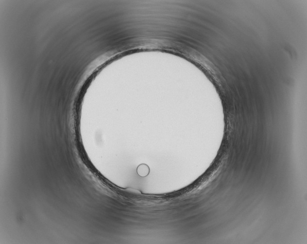 X0000110911122200907301536