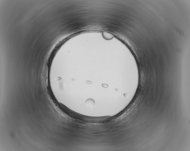 X0000110911123200907301536