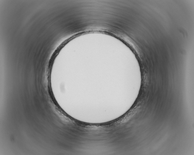 X0000110911124200907301536