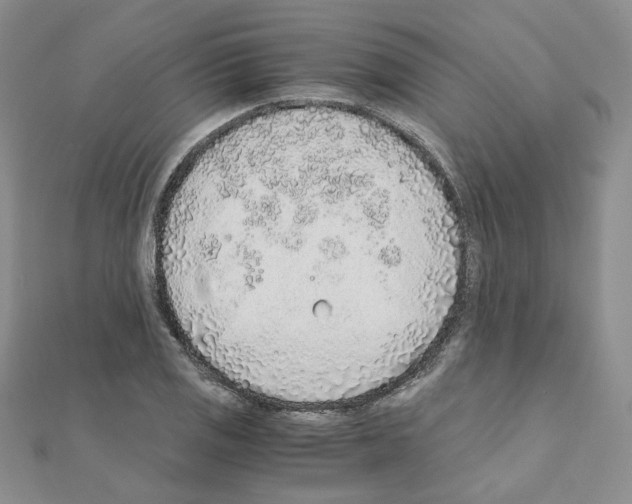 X0000110911125200907301536