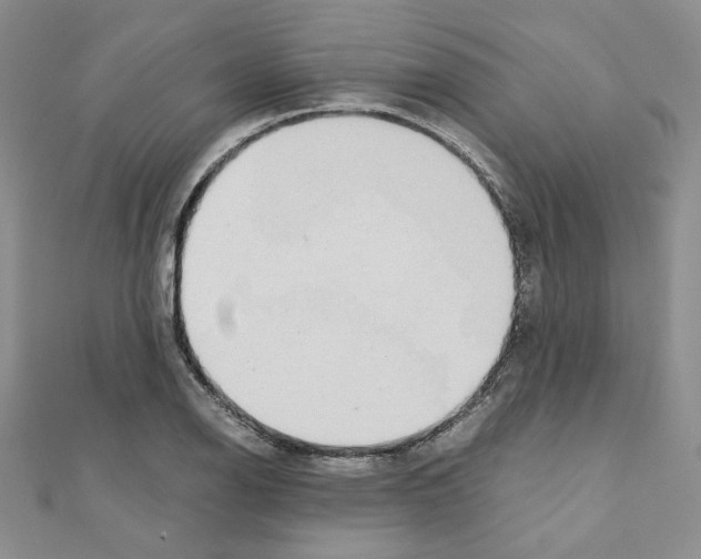 X0000110911126200907301536