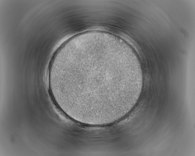 X0000110911127200907301536