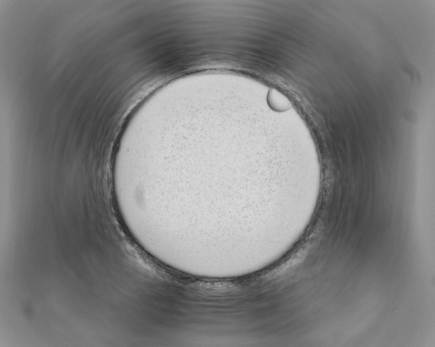 X0000110911129200907301536