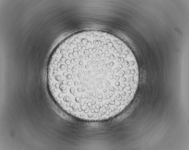 X0000110911130200907301536