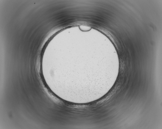 X0000110911131200907301536