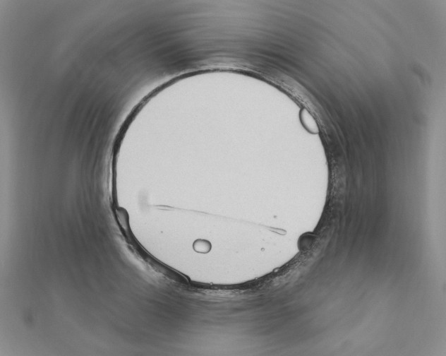 X0000110911132200907301536