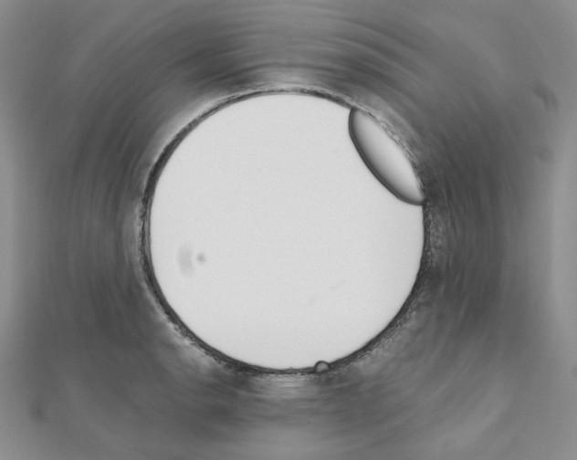 X0000110911134200907301536