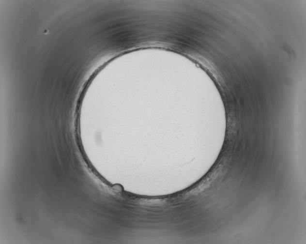 X0000110911135200907301536