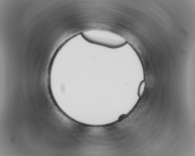 X0000110911136200907301536