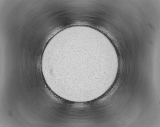 X0000110911137200907301536