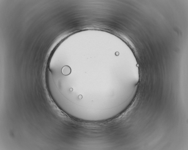 X0000110911138200907301536