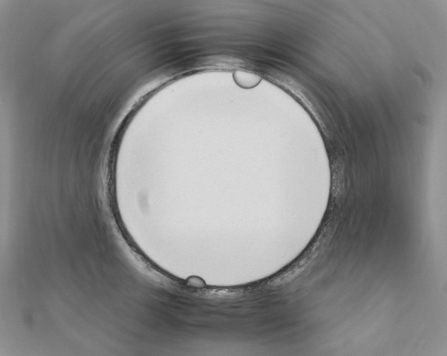 X0000110911139200907301536