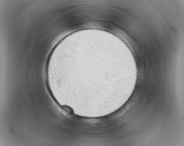 X0000110911141200907301536