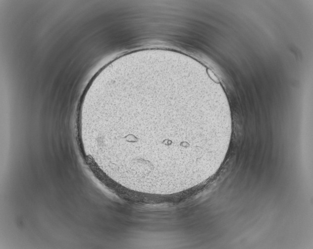 X0000110911142200907301536