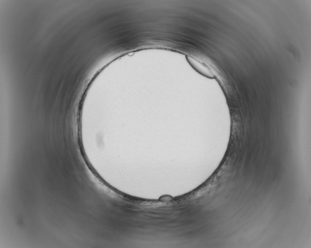 X0000110911143200907301536