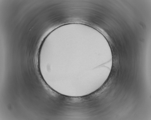 X0000110911144200907301536