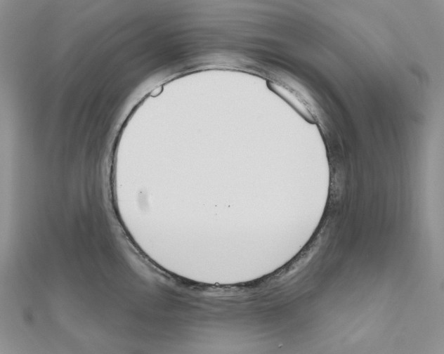 X0000110911146200907301536