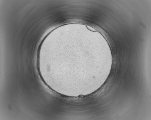 X0000110911147200907301536