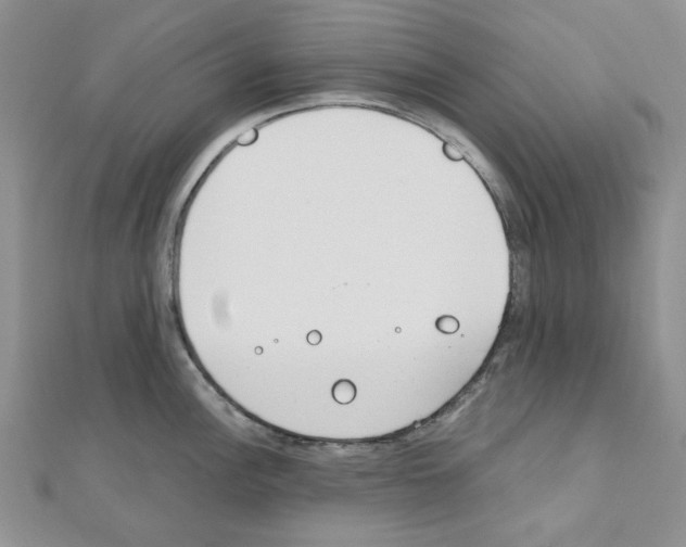 X0000110911148200907301536