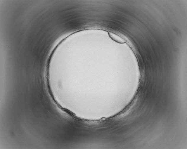 X0000110911149200907301536