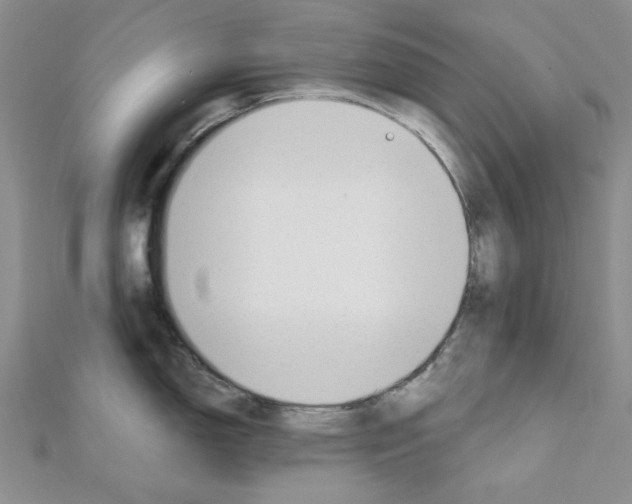 X0000110911150200907301536