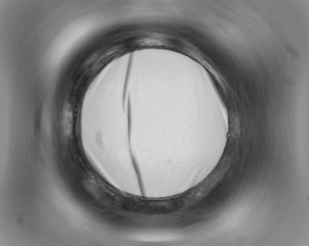 X0000110911151200907301536