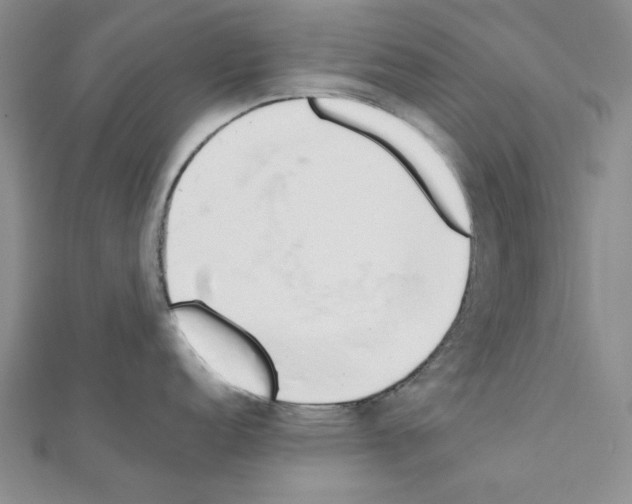 X0000110911152200907301536