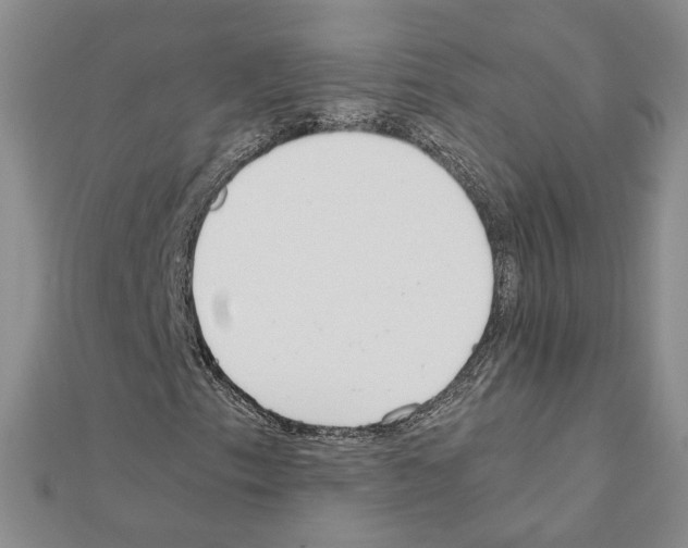 X0000110911153200907301535