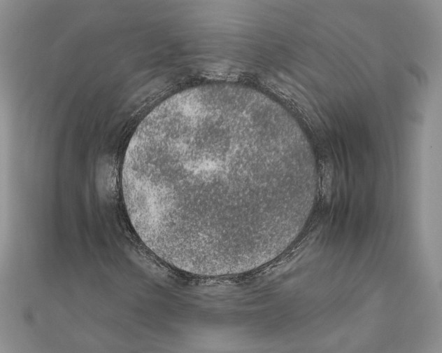 X0000110911154200907301535