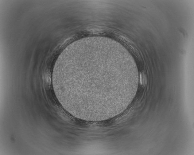 X0000110911155200907301535