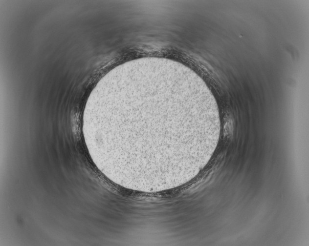 X0000110911156200907301535