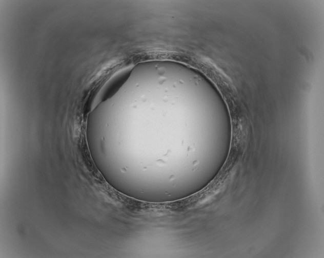 X0000110911157200907301535