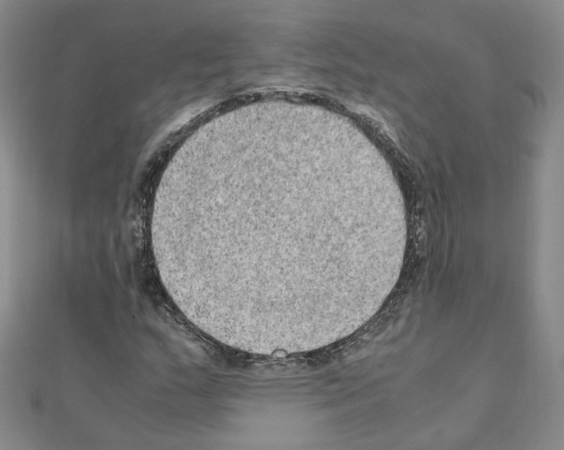 X0000110911159200907301535